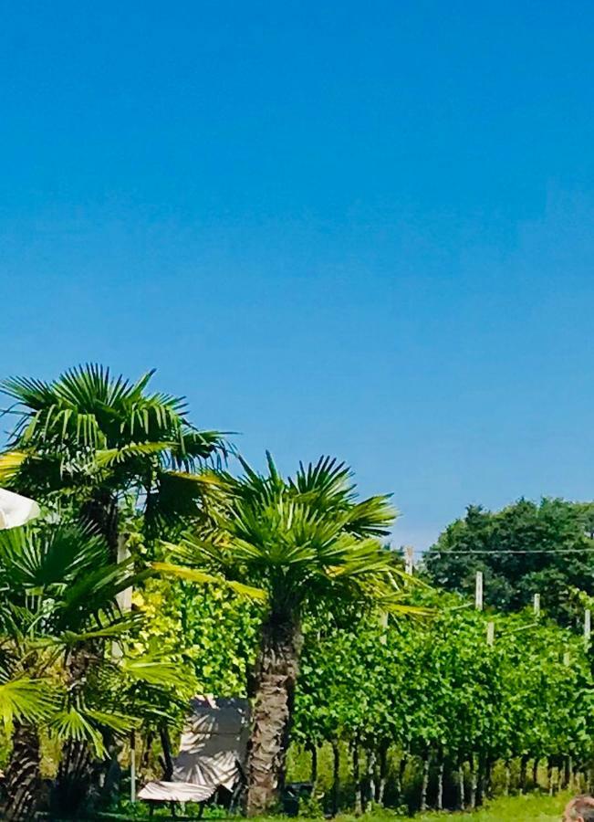 בית הארחה קולה 	Residenza Eden מראה חיצוני תמונה